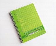 Колледж-блок Student Book на спирали (А5, 80 листов, клетка, зеленый)