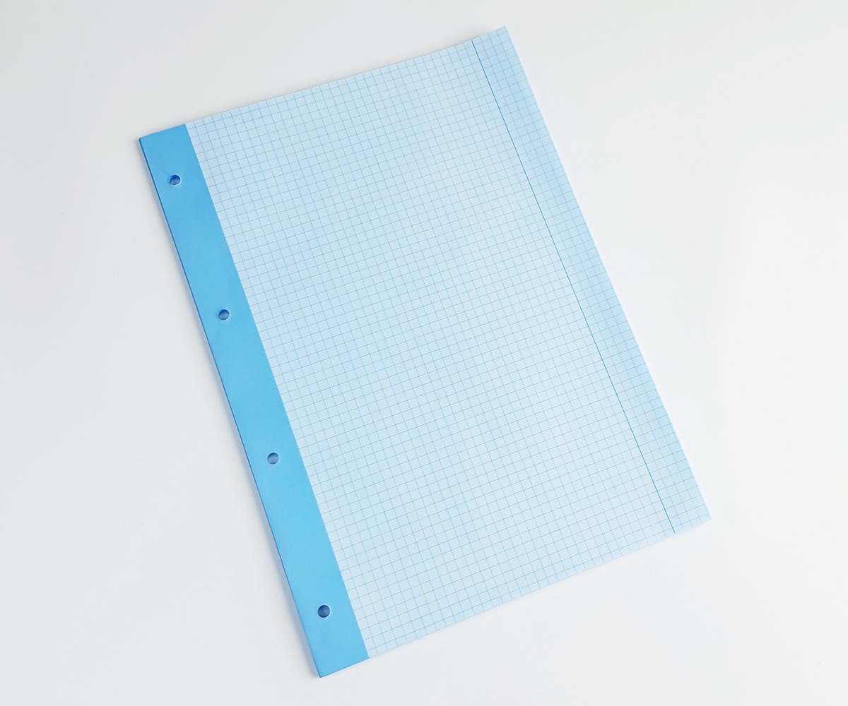 Сменный блок А4 Interdruk голубой для папки, байндера (А4, 50 листо... |  Covering