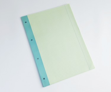 Сменный блок А4 Interdruk зеленый для папки, байндера (А4, 50 листов, 70г/м2, клетка)